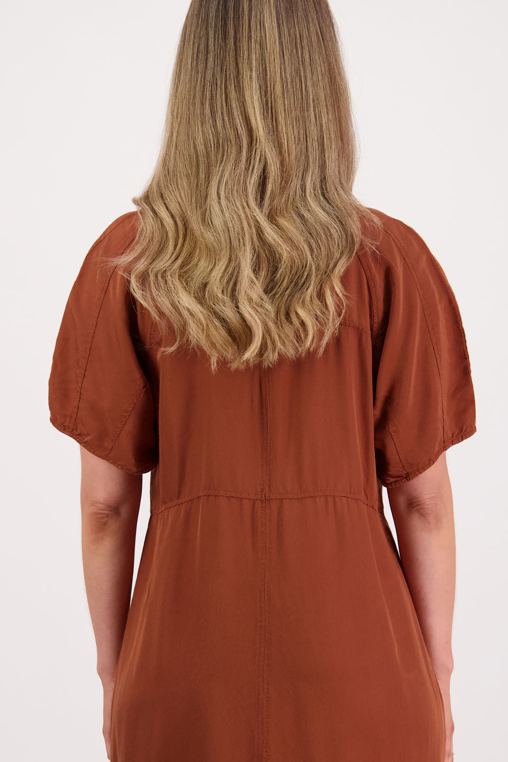 Womens tan dress with curved empire line bodice. Slim fitting body and midi length. Viscose. Briarwood NZ. Stacey