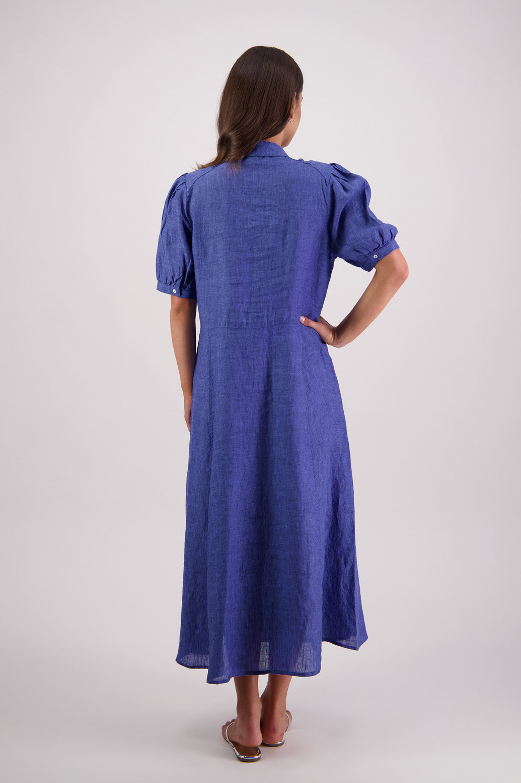 Back view Briarwood Tokyo Dress in Blue.